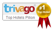 Trivago Top Hotel